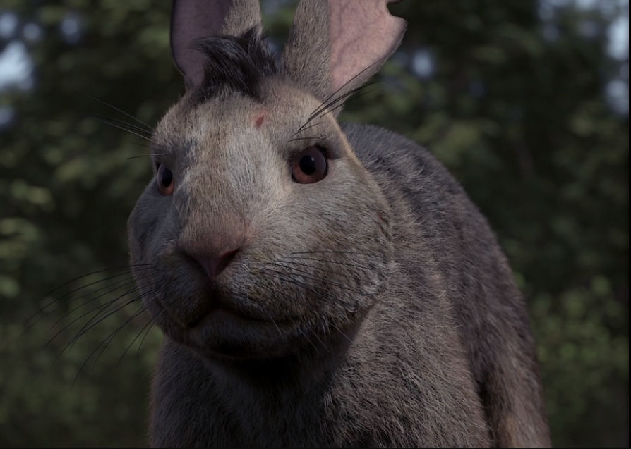 Plump Rabbit by sacbrother95 on DeviantArt