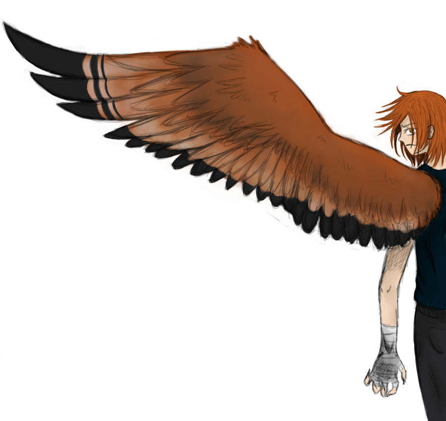 Maximum Ride OC: Tiger by Kage-wolf13 on DeviantArt