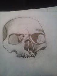 My skull drawing