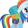 Rainbow Dash gear