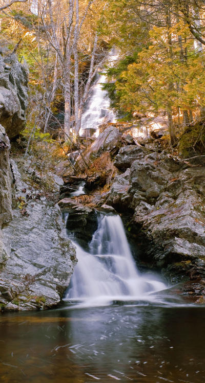 Hiding behind the trail