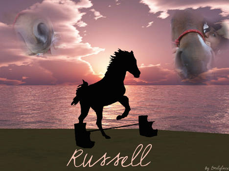 .Russell. the horse