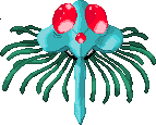 A Thousand Arms - Tentacruel