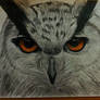 Eagle Owl's eyes