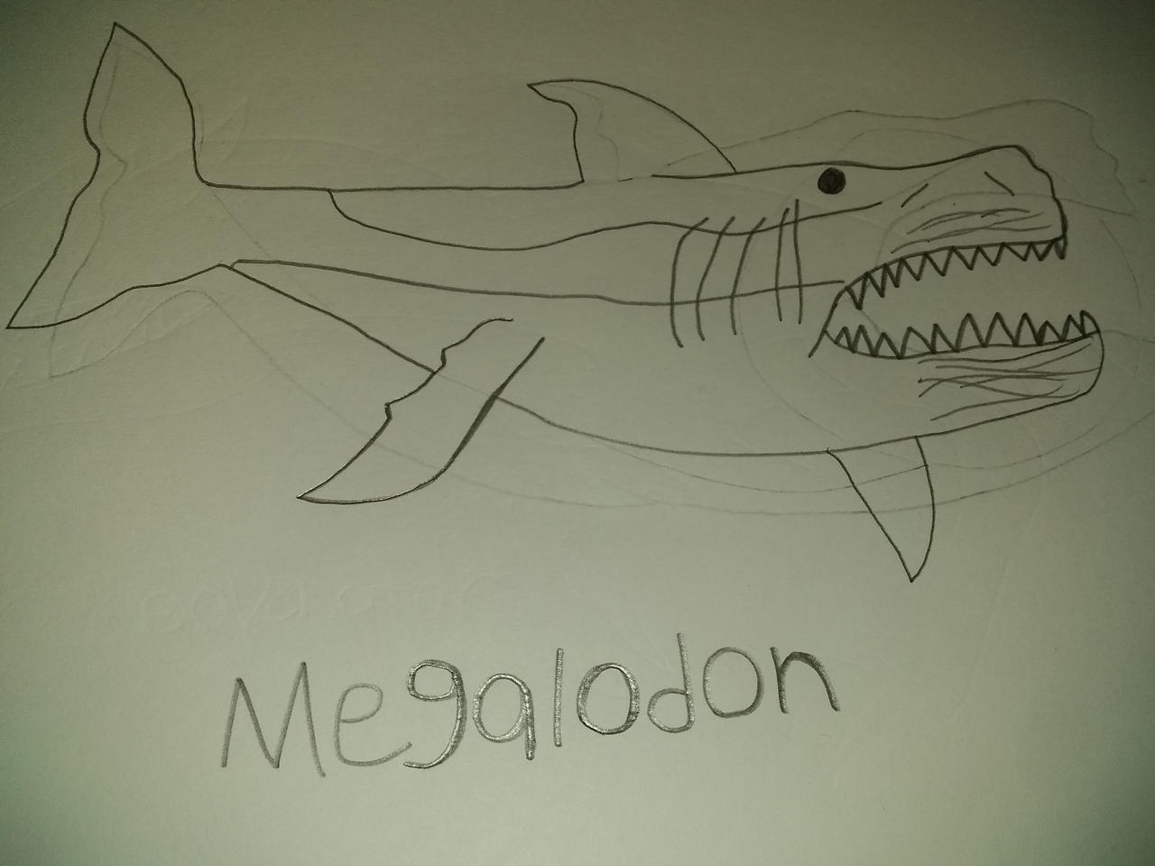 Megalodon by Gabeherndon308 on DeviantArt