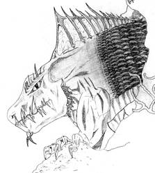 Sea creature