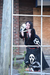 Scream7