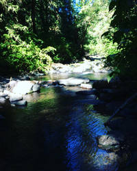 McDowell creek