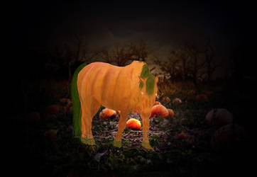 The Pumpkin Horse