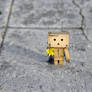 for you - danbo