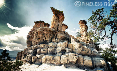 Stone Guardian