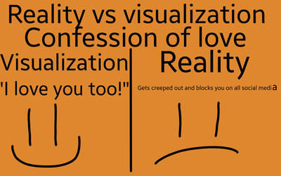 Reality vs visualization