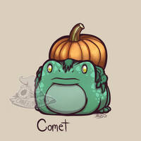 Gourd Toad 3. Comet