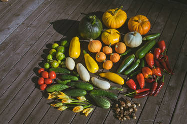 Autumn Harvest