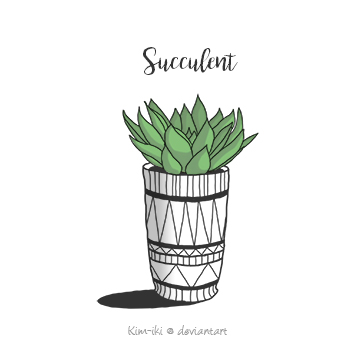 Succulent