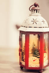 Winter lantern