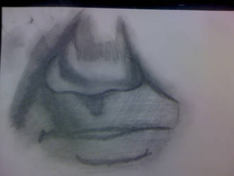 the nose i drew