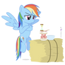 Rainbow Dash in 'A Test of Patience'