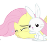 Don't Cry, Fluttershy