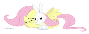 Don't Cry, Fluttershy
