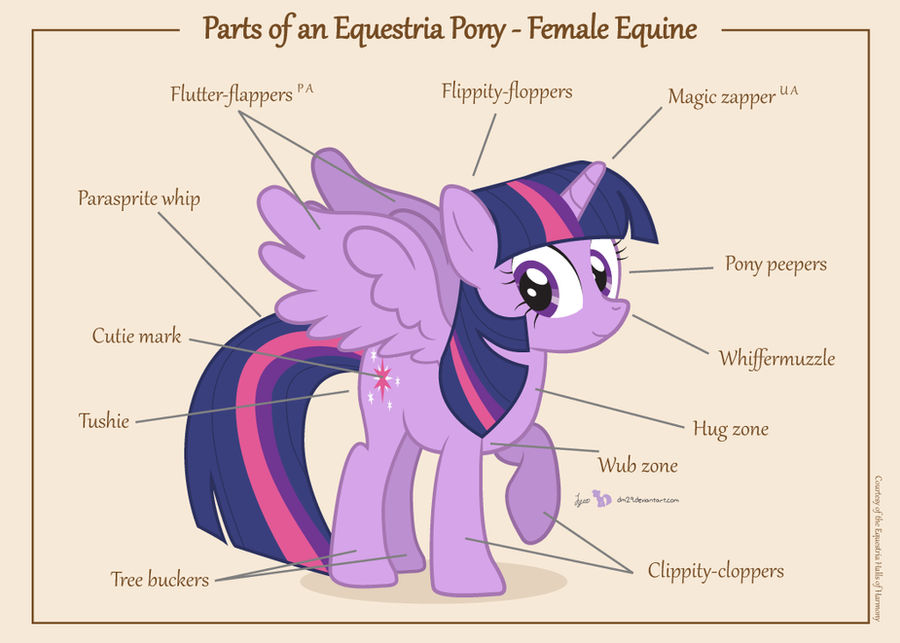 Parts of an Equestria Pony - Female Equine
