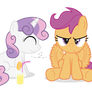 CMC Beats The Heat