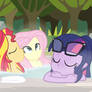 Equestria Springs