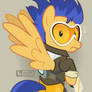 Flash Sentracer