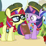 Cookie Scout Fillies