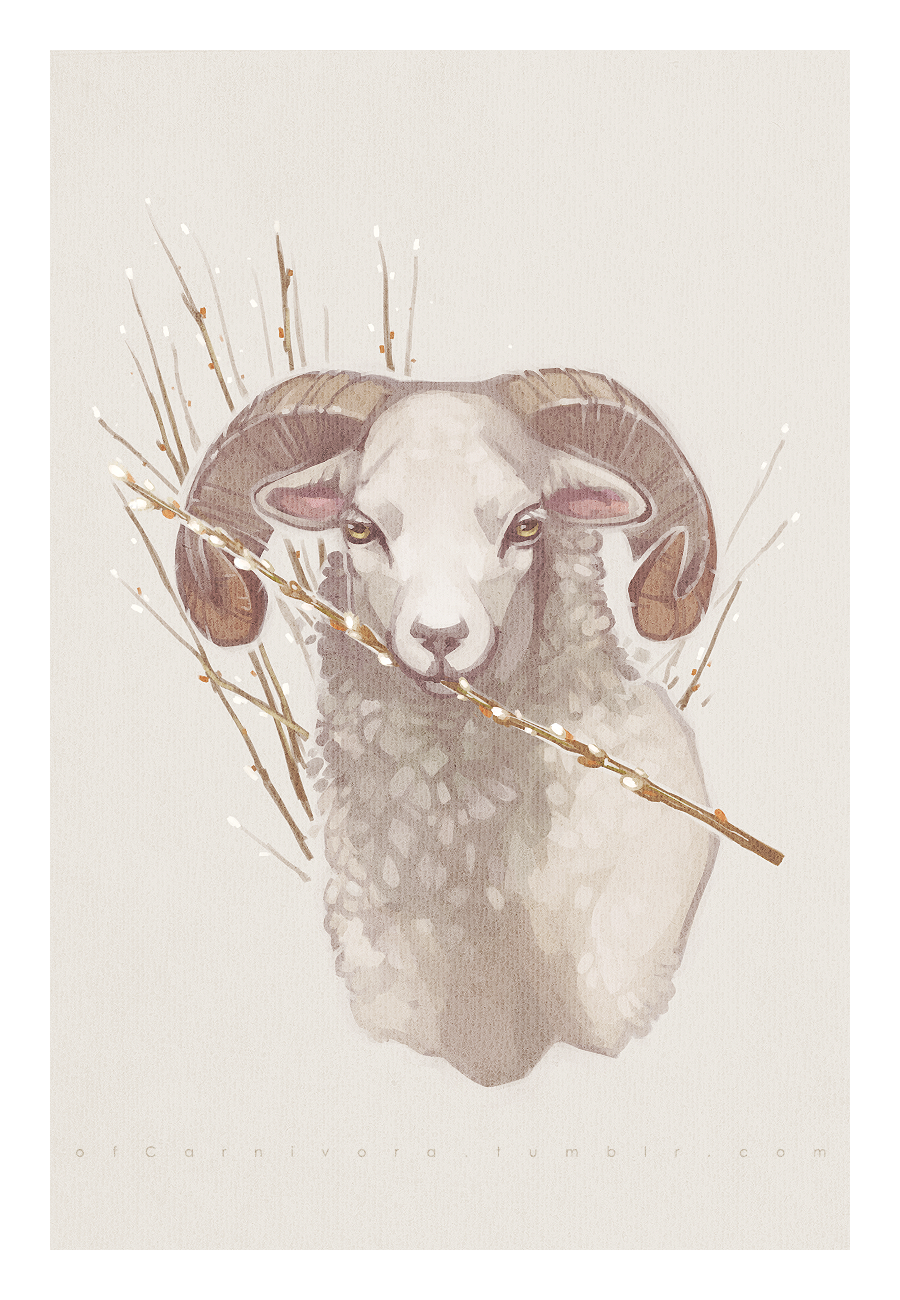 Year of the Ram