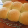 Todays homemade hamburger rolls