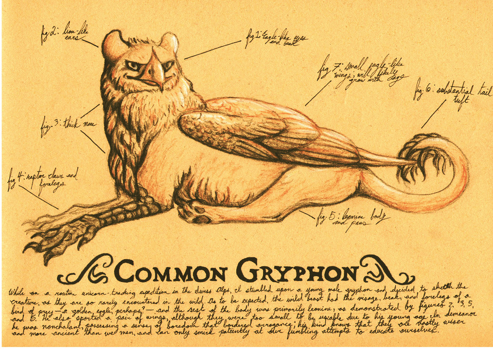 Field Sketch - Gryphon