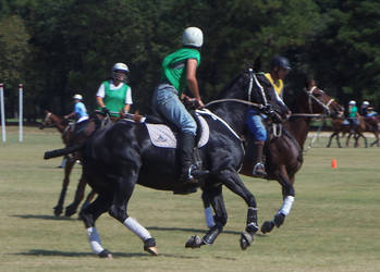 Polocrosse