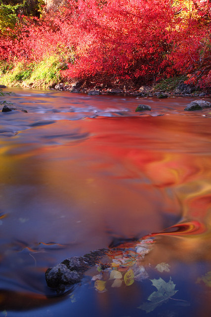 Pastel River