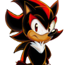 AMERICAN shadow