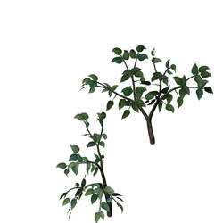 Seed-Stock Fake Tree 1