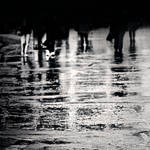 .:RainWalk:. by fal-name