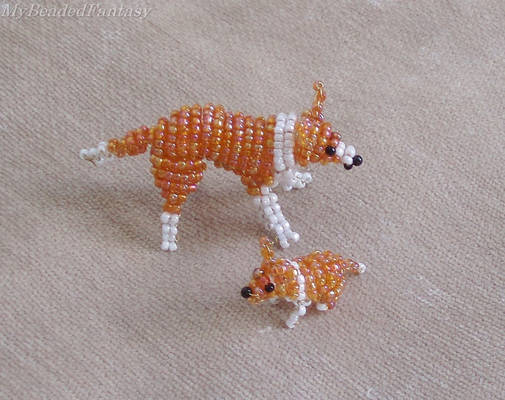 Beaded Collie Dogs