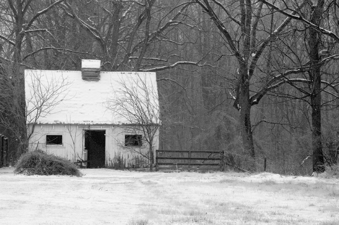 Snow Covered Cottage II