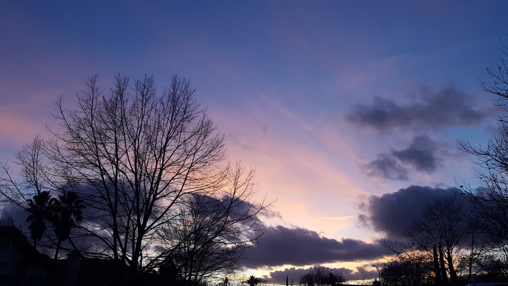 SunSet Sky