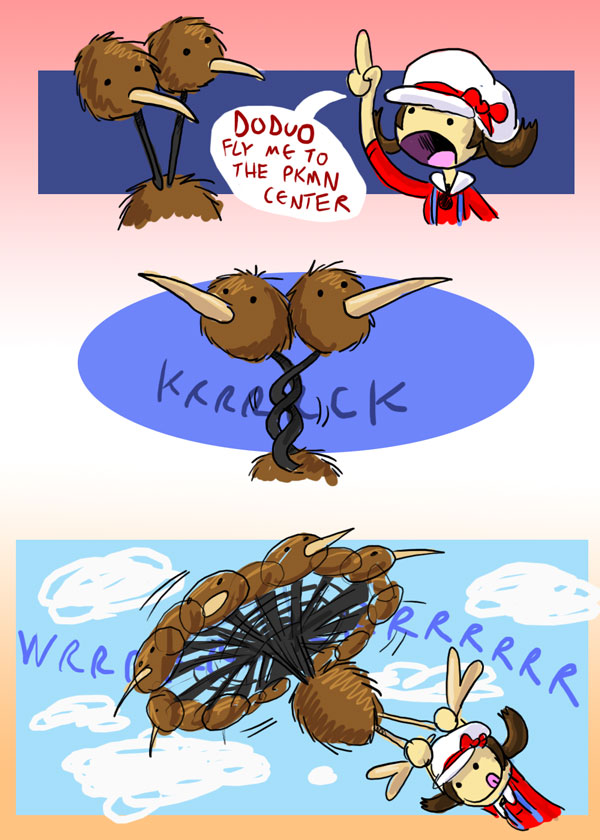 DODUO USED FLY