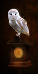 Request - Barn Owl on a Clock by EmalieTison