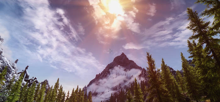 Skyrim - Field View