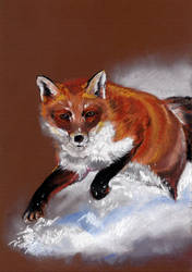 Drawing - Fox in the snow