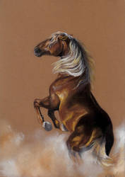 Drawing - Wild horse