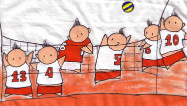 Polish National Voleyball Team