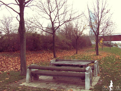 empty bench 2