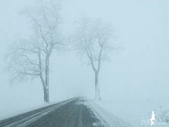 icy track.