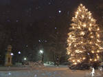 Christmas begins. by R-L-P