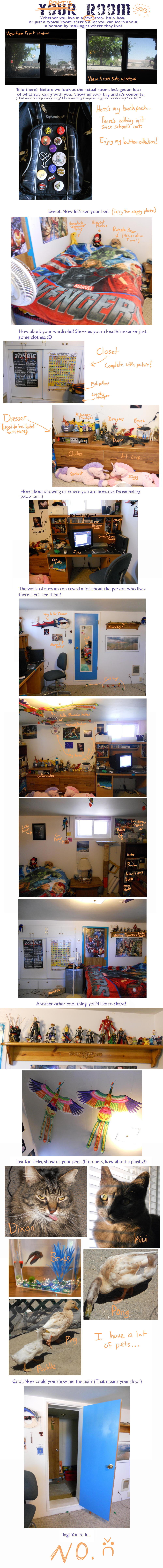 Room Meme - 2013!